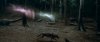 Wolves-blood-and-chocolate-5044414-640-272.jpg Wolves-blood-and-chocolate-5044414-640-272.jpg